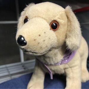 American Girl: Sandy The Golden Retriever posable stuffed dog